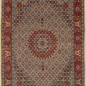 Moud sherkat Fars Beige