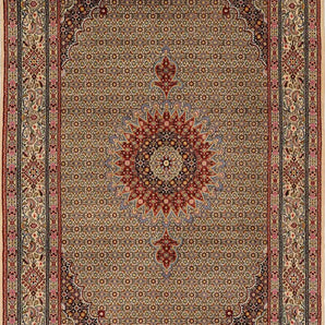 Moud sherkat Fars Beige
