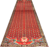 Sanneh Red