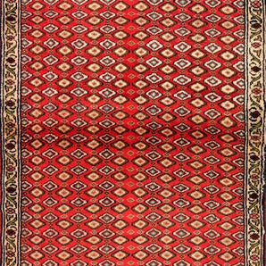 Sanneh Red