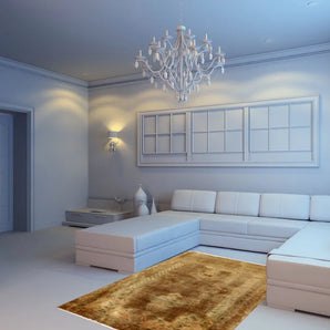 Malayer Brown