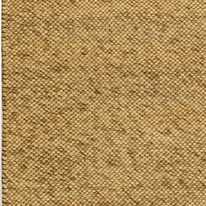Ivory Beige